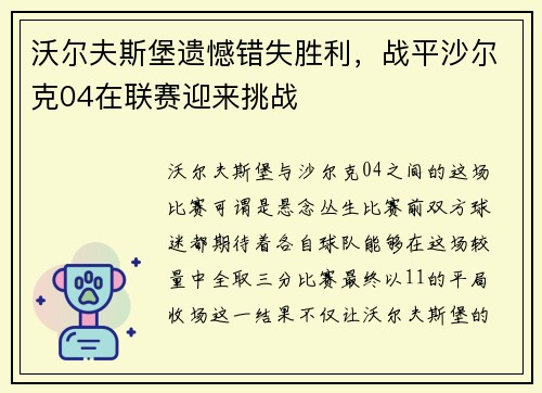 沃尔夫斯堡遗憾错失胜利，战平沙尔克04在联赛迎来挑战