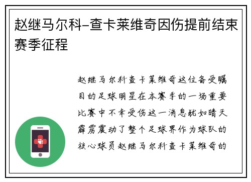 赵继马尔科-查卡莱维奇因伤提前结束赛季征程